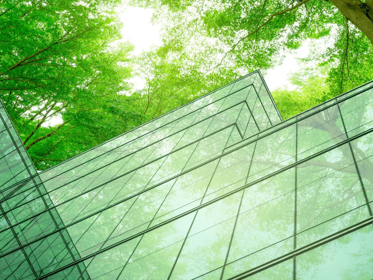 B Corp Certification: Redefining Business as a Force for Good