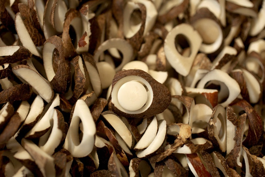 Embracing Sustainability: The Journey of Our Plastic-Free Corozo Buttons