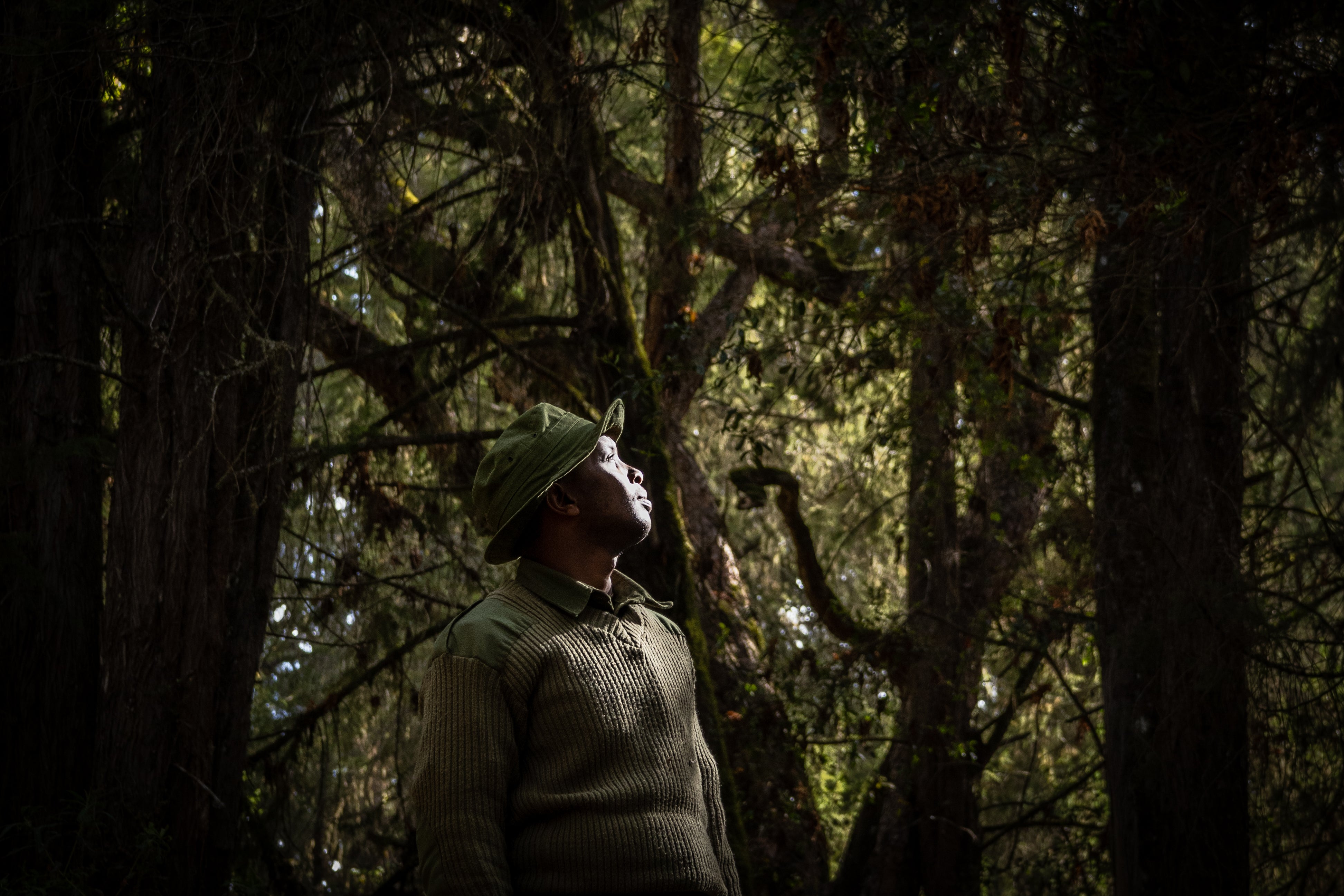 Spread Love: Wild Rose Gifts Mt Kenya Trust This Valentines